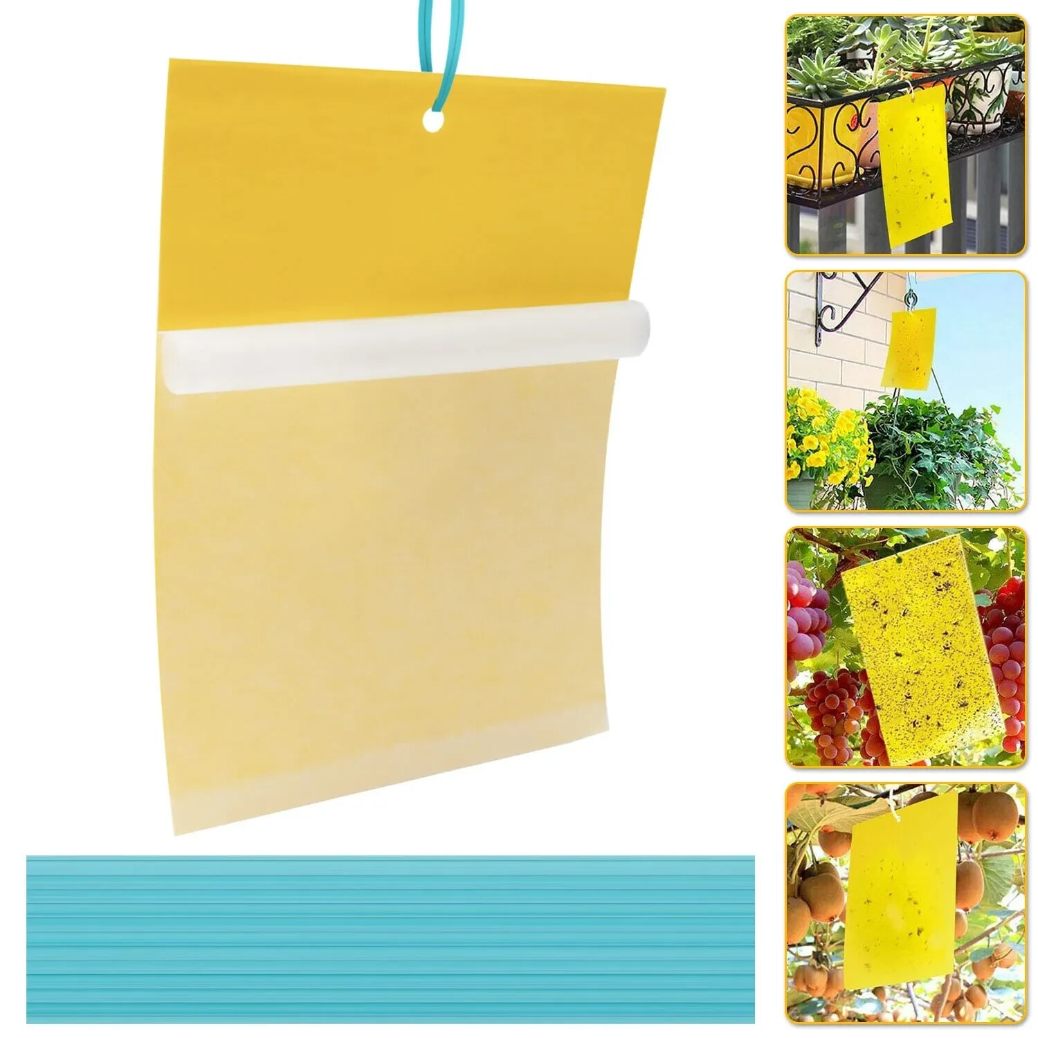 12PC Yellow Sticky Fly Trap Hanging Rope for Fruit Fly Plant Insect Gnat Outdoor