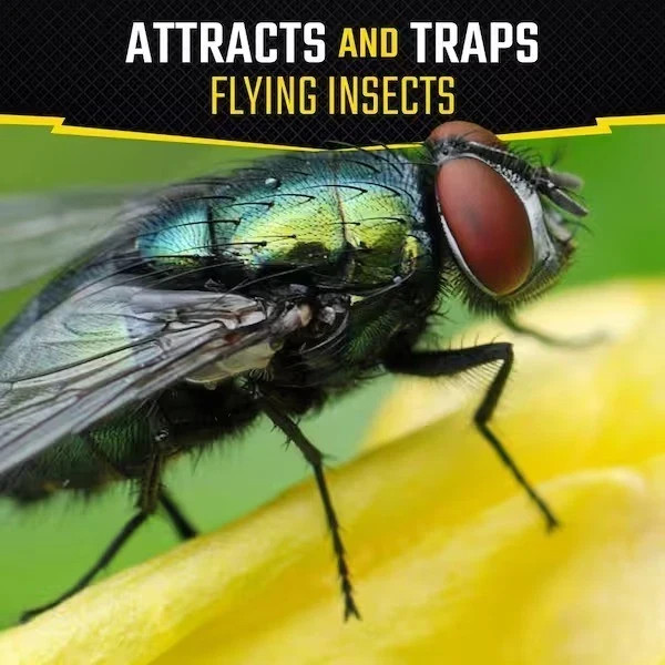 2 Pack Black Flag Fly Stick Hanging Indoor Outdoor Fly Trap No Insecticide