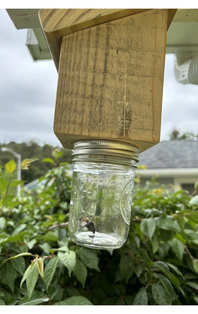 Set Of 2 Carpenter Bee Traps- I Make These Traps Another Seller Is Using My Pics