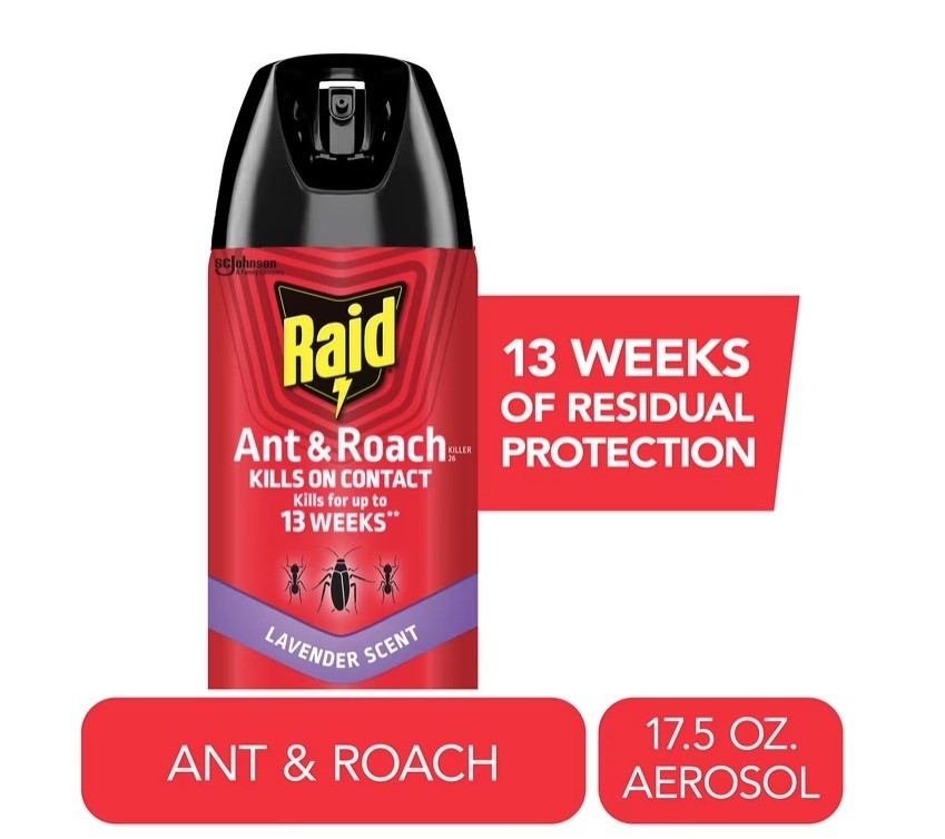 Raid Ant & Roach Killer Spray Lavender Scent for Listed Bugs 17.5 oz, 3 PACK