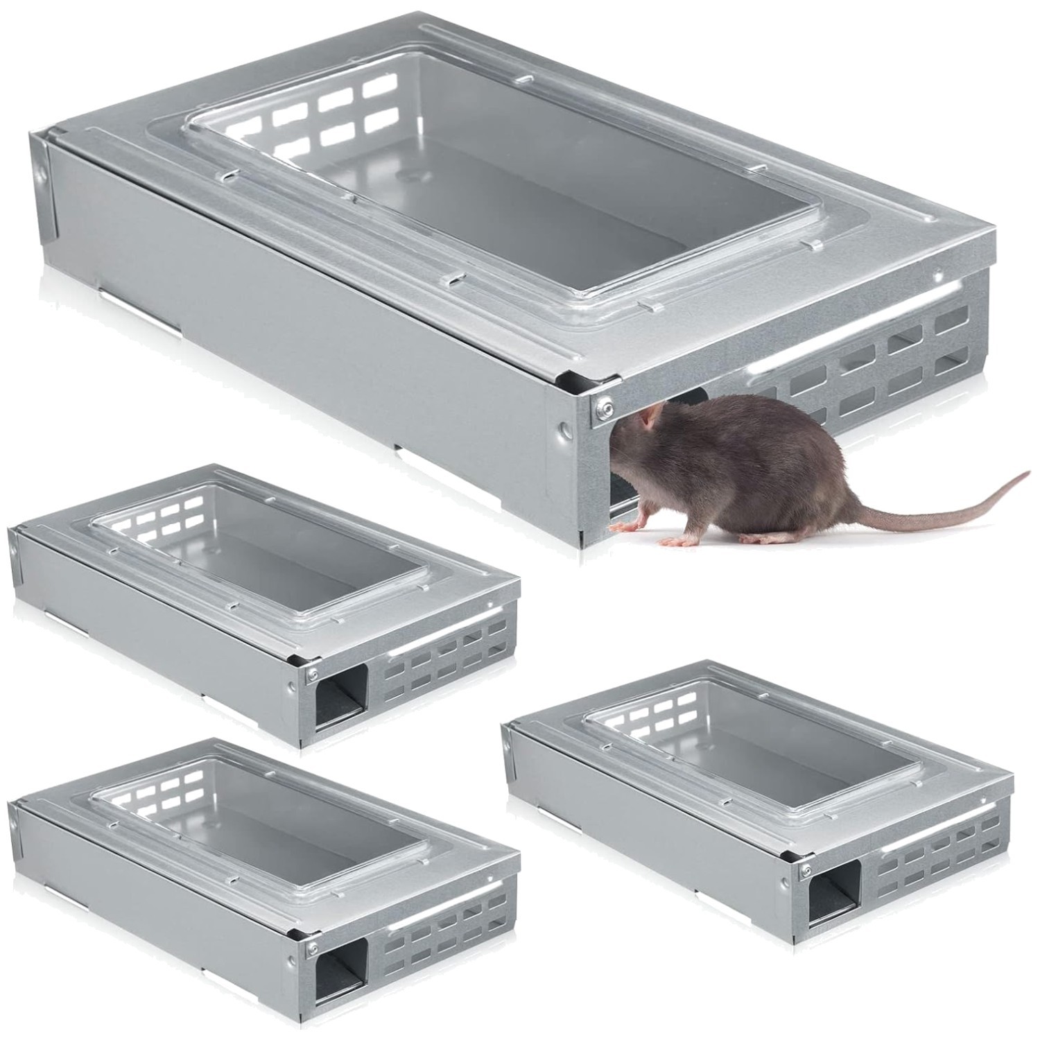 4 Pack Clear Top Mouse Traps – Indoor Outdoor Rodent Control