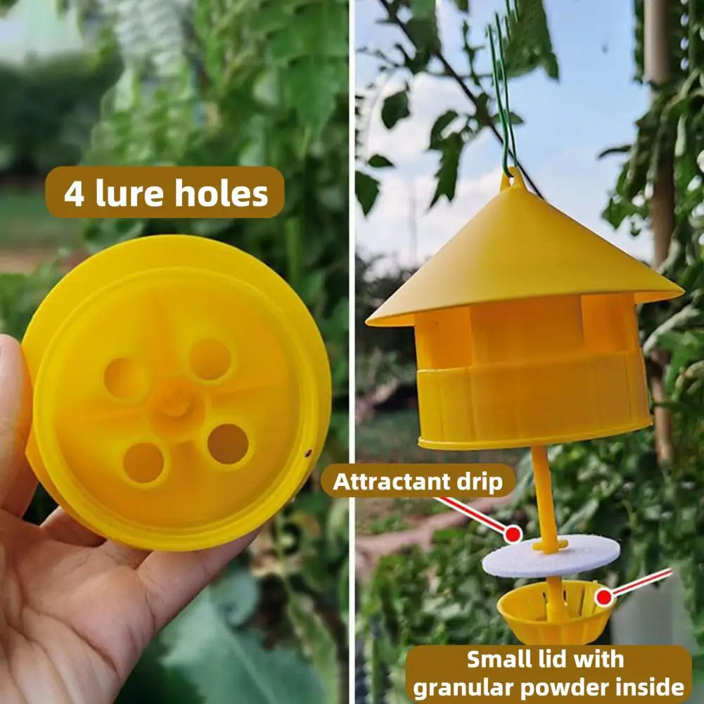2 Pack Fruit Fly Trap & Cucumber Fly Insect Traps Reusable Pest Control