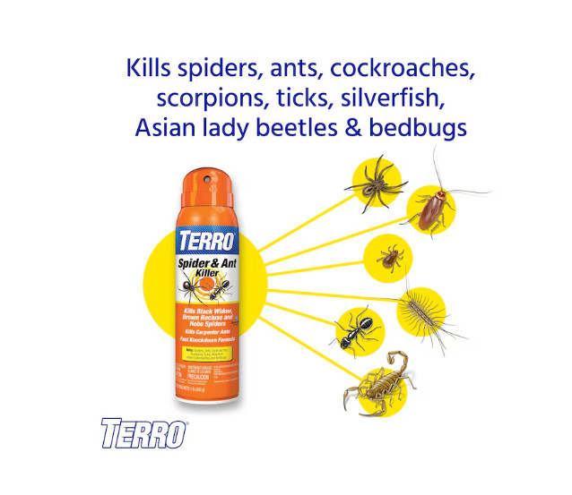 TERRO Spider and Ant Killer 16 oz Ready To Use Insect Spray