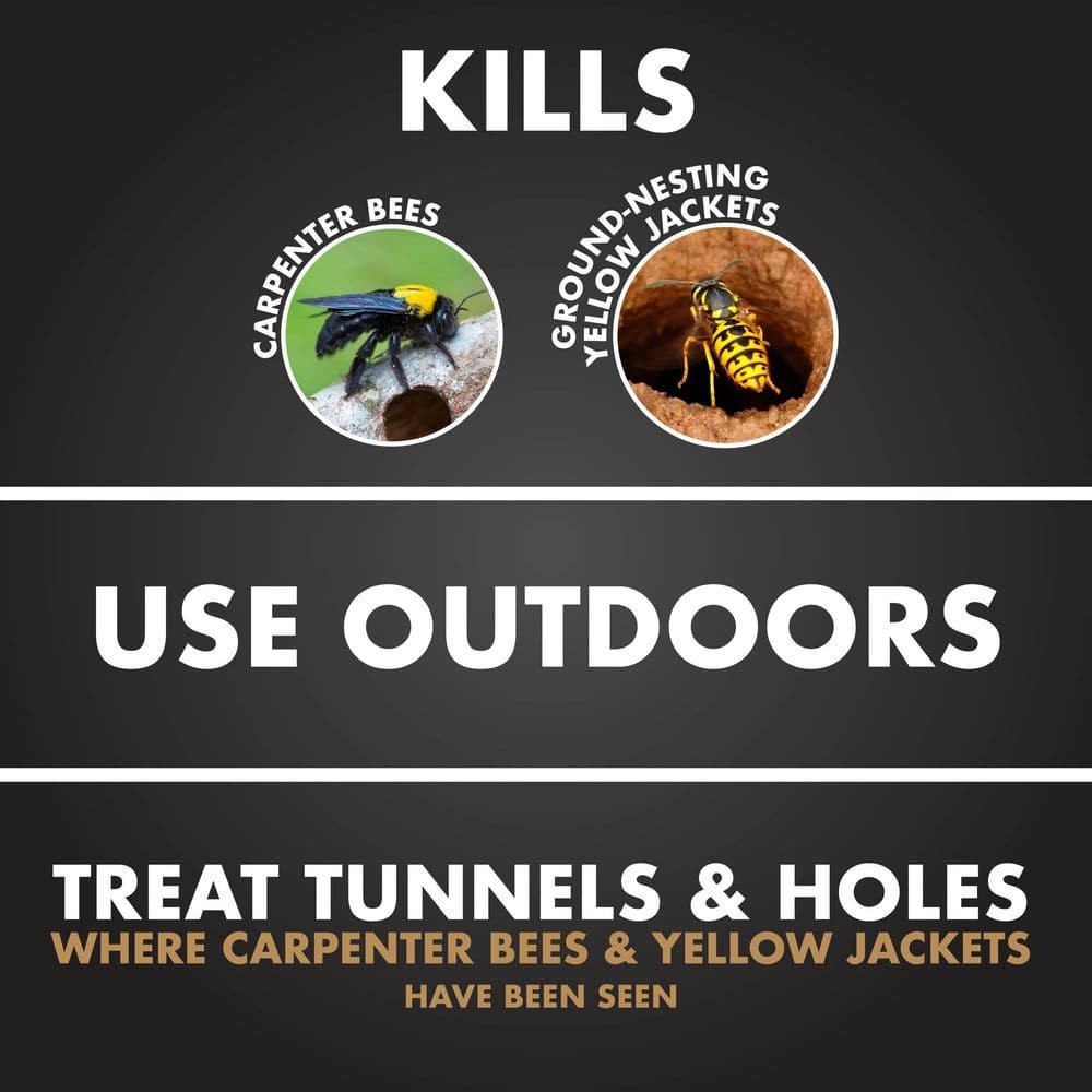 Carpenter Bee and Yellow Jacket Insect Killer 16oz Foaming Aerosol (2 Pack)