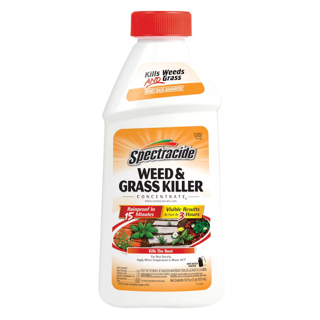 Spectracide Concentrate 16.0 -oz Concentrate Weed and Grass Killer