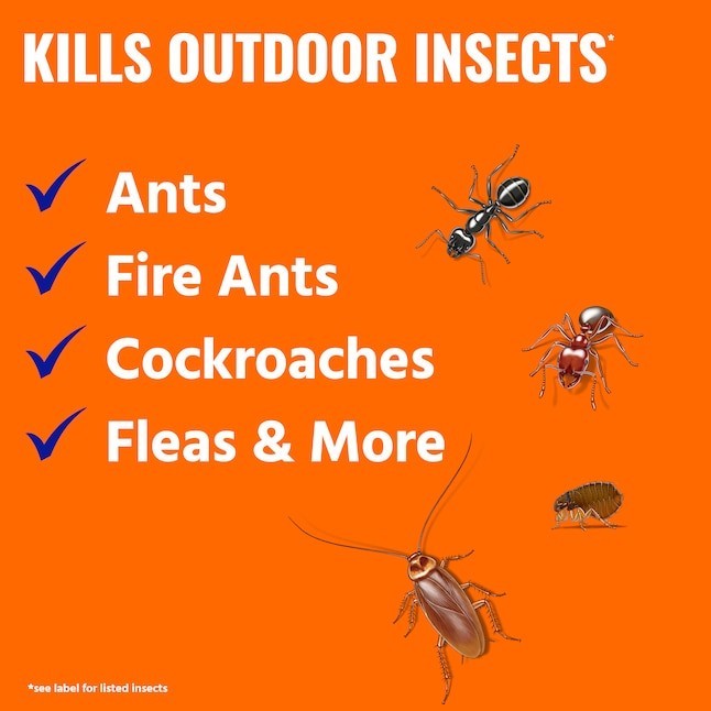 TERRO 3 lb. Outdoor Ant Killer Plus Multi-Purpose Insect Control Granules