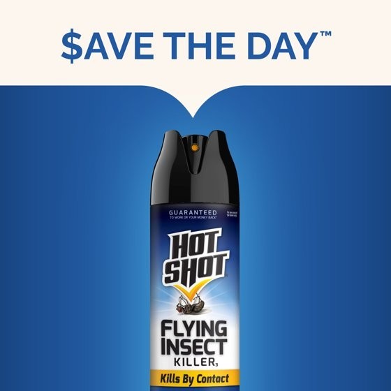 2 pack Hot Shot Flying Insect Killer Aerosol Spray, Clean Fresh Scent, 18.75 OZ