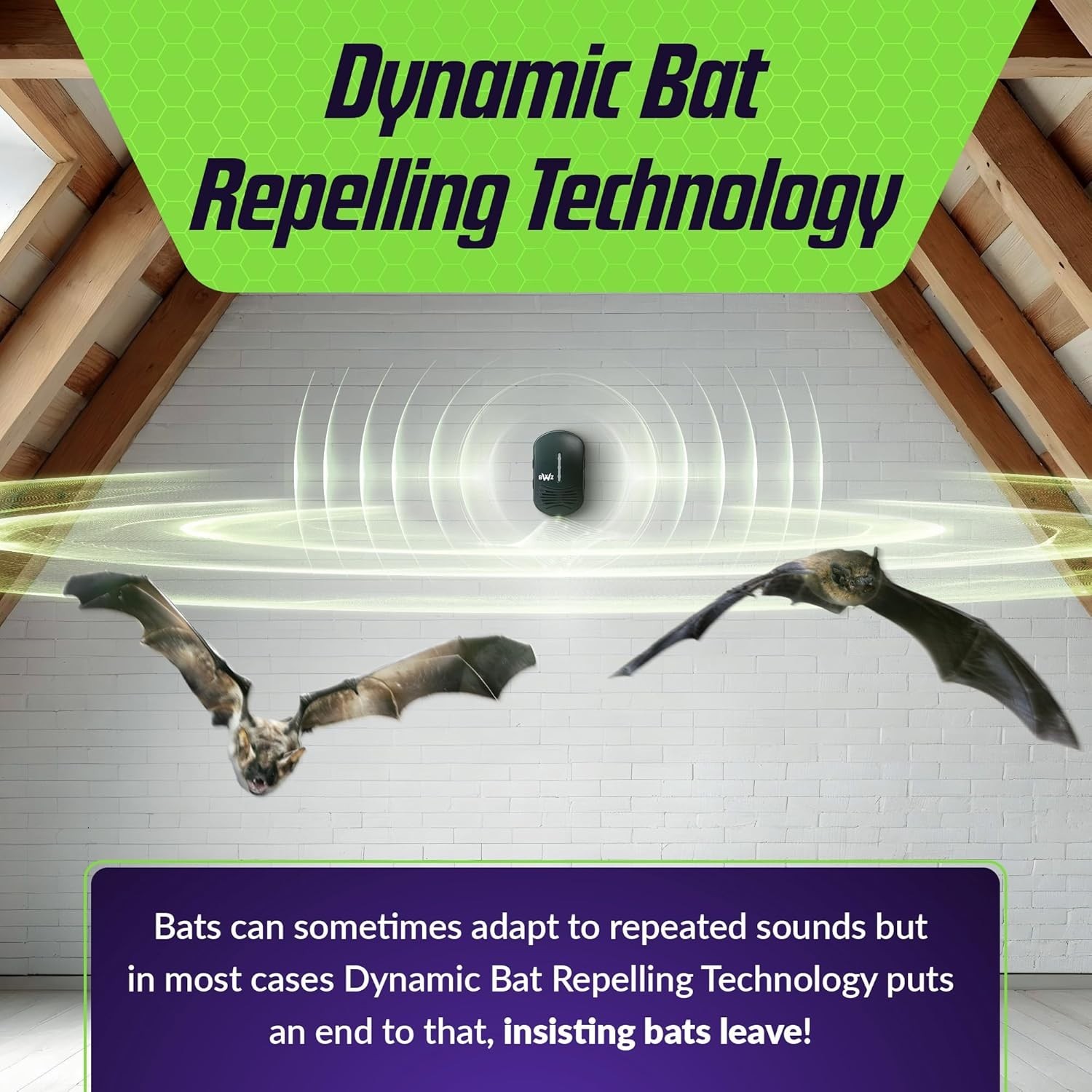 BWZ600 Direct Ultrasonic Bat Repeller Featuring Bat-ZoneZonic Frequency Control