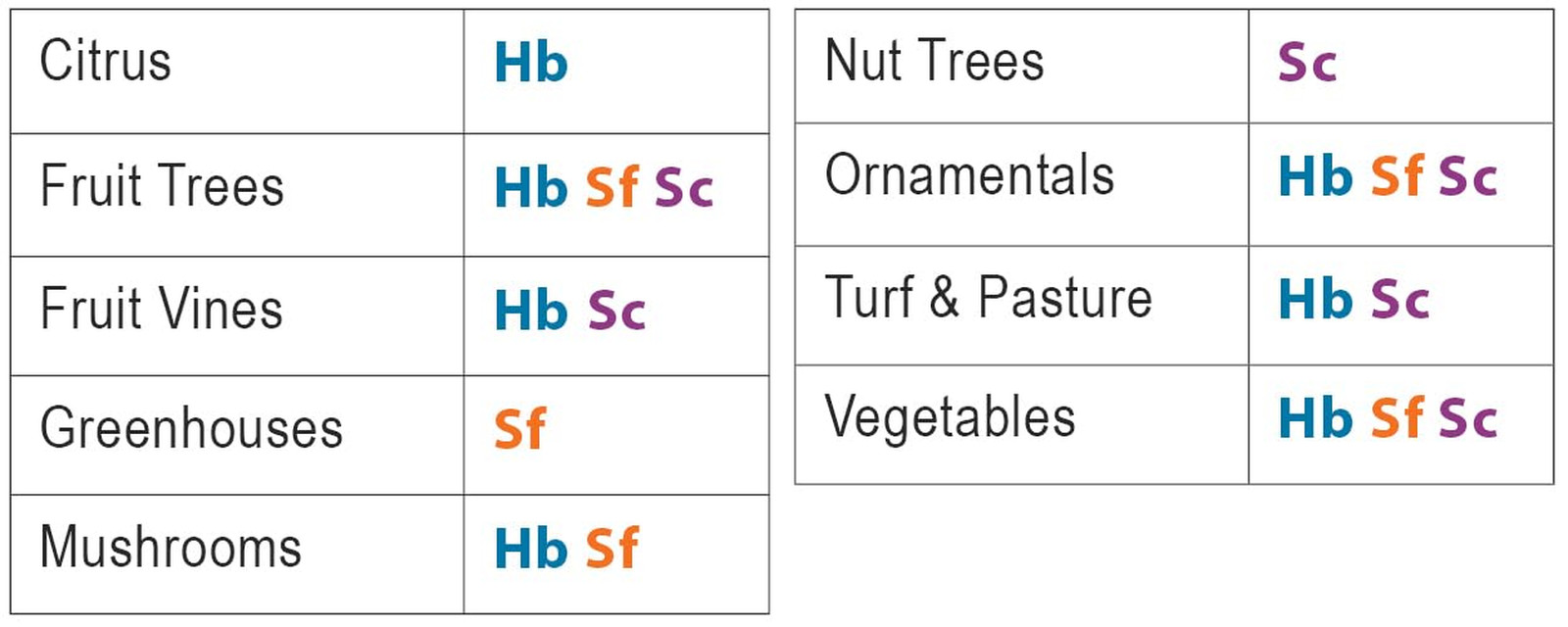 Beneficial Nematodes SF Steinernema Feltiae – 50 Million