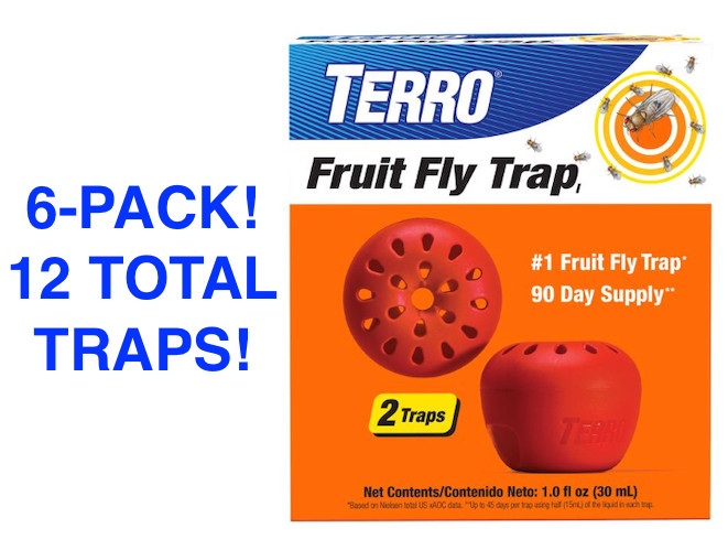 TERRO (T2502B) Indoor Fruit Fly Traps! 2 Traps in Each Pack (6 total packs!)