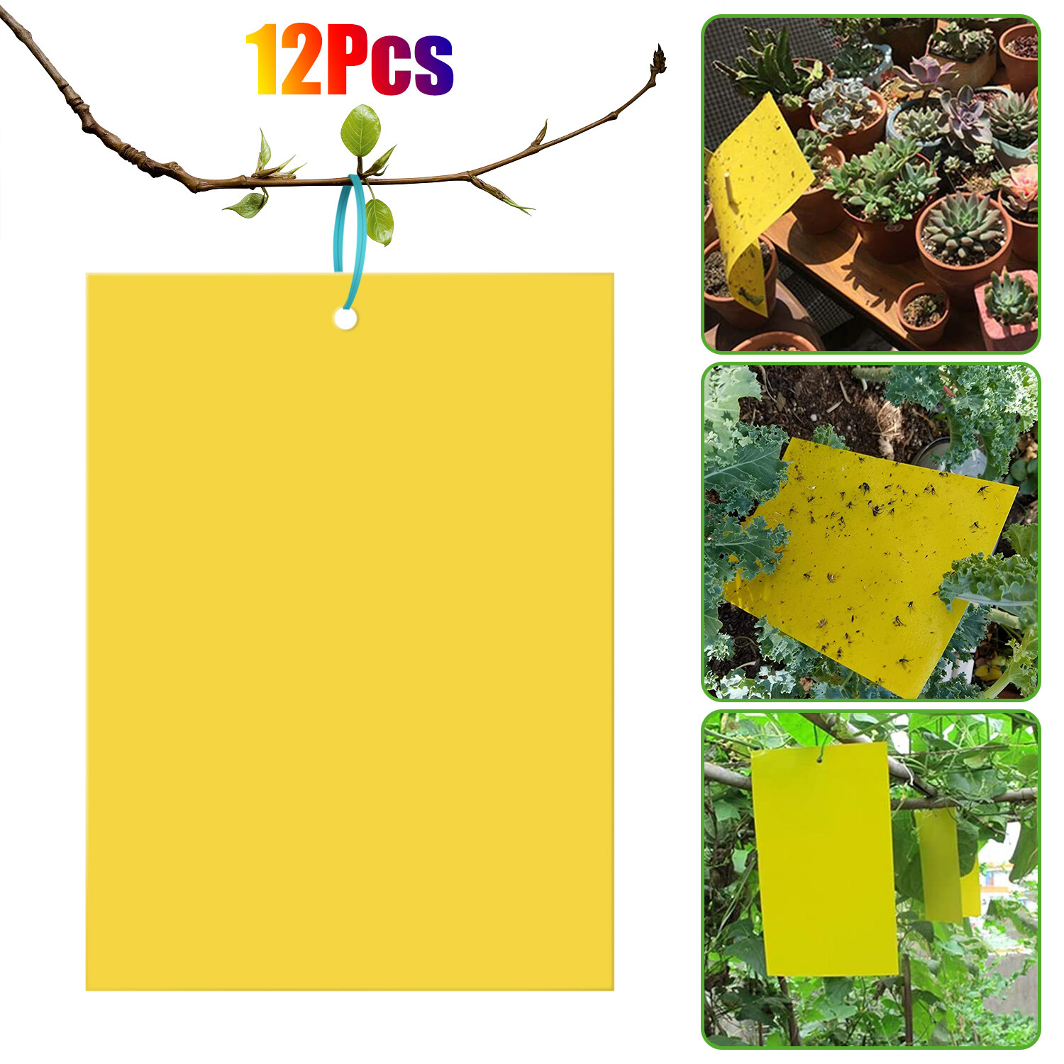 12PC Yellow Sticky Fly Trap Hanging Rope for Fruit Fly Plant Insect Gnat Outdoor