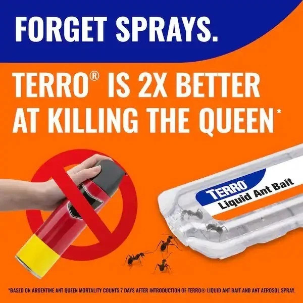 TERRO (6-Count) Indoor Liquid Ant Killer Baits