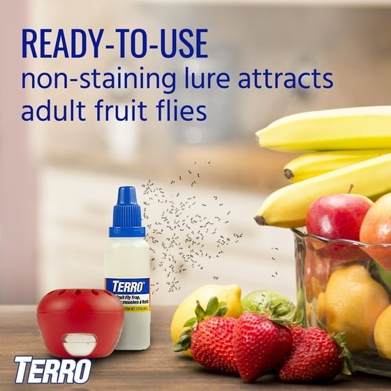 Indoor Fruit Fly Trap, (2-count) , Terro Traps, In Built With Window Sinks…