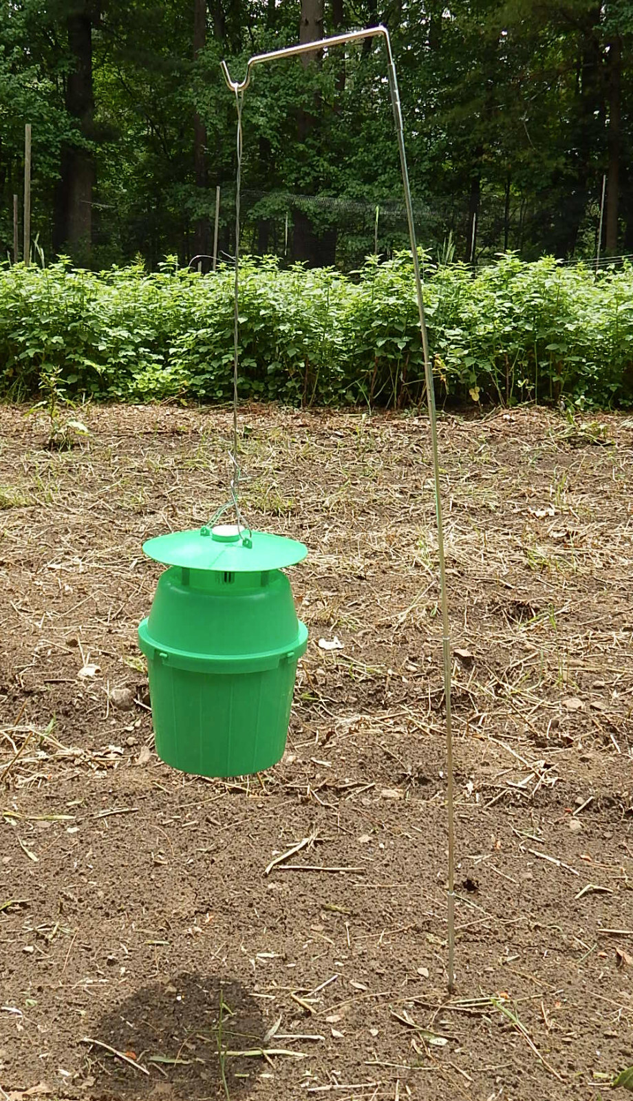 Squash Pumpkin Vine Borer Trap with Lure