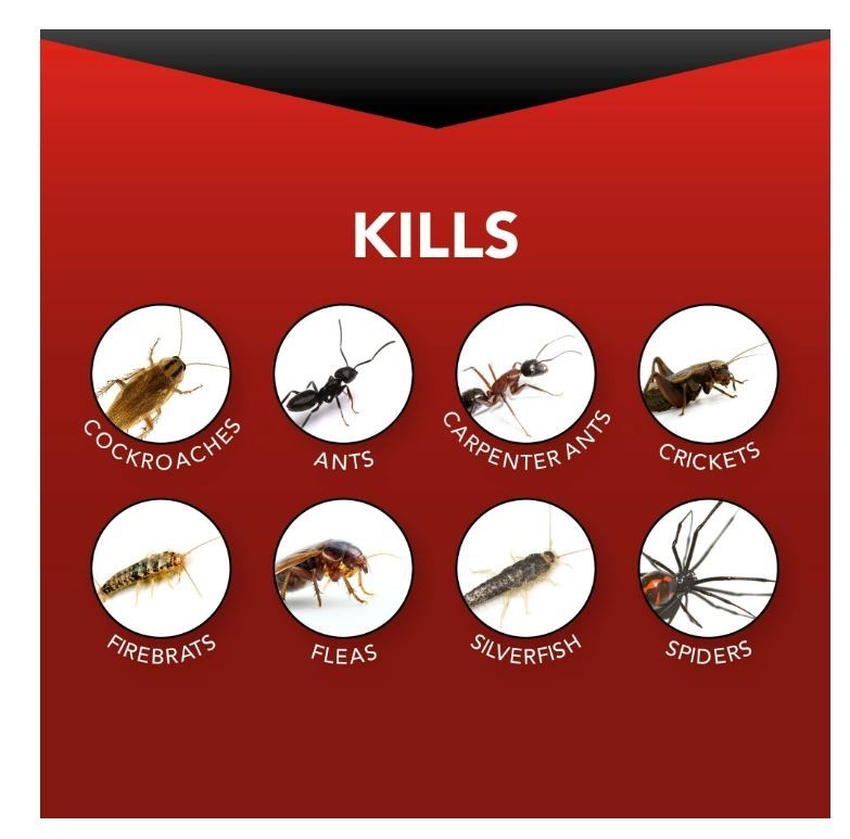 Eliminator Ant, Roach & Spider Killer4, Aerosol Spray, 2/ 17.5 Ounce
