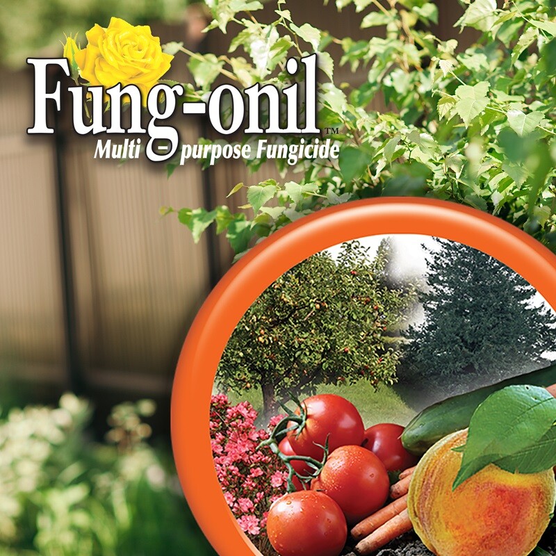 Bonide Fung-onil Fungonil 8836 32 oz Ready to Use Multi Purpose Garden Fungicide