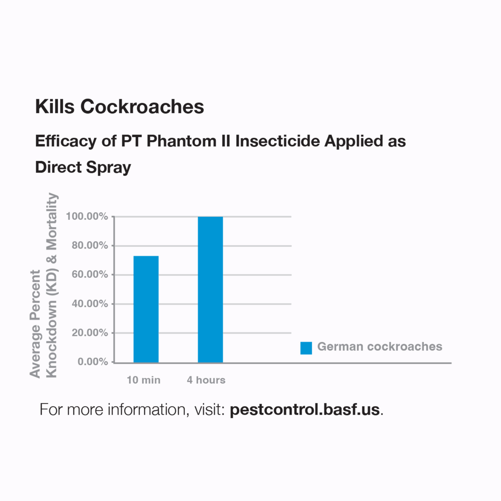BASF PT Phantom II Pressurized Insecticide Bedbugs 14 oz Can