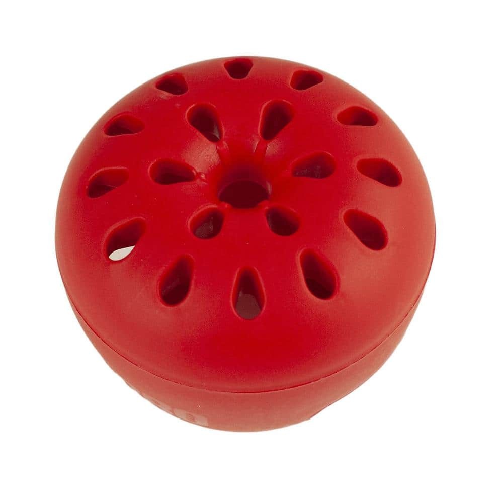 Indoor Fruit Fly Trap (4-Count)