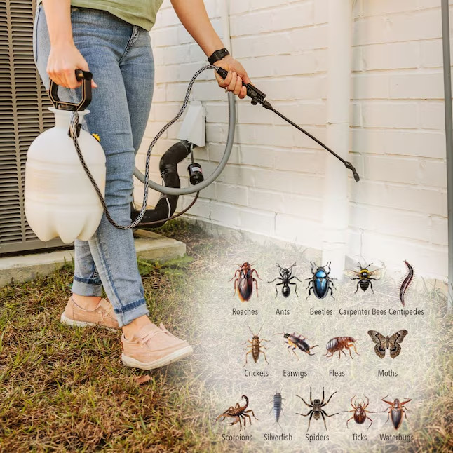 Bengal BEN 33100 2oz Concentrate Insecticide Home Insect Control Indoor, Outdoor