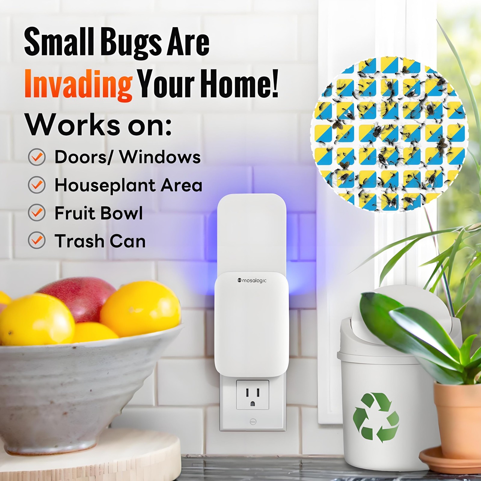 Fruit Fly Traps for Indoors Gnat Trap for House Indoor-600 Sqft Protection Ar…