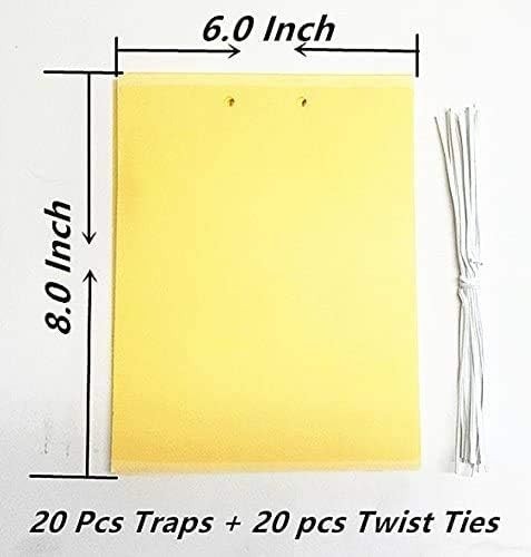 20 PACK Garden Sticky Traps Cucumber Beetle Trap Fruit Fly Trap Fly 6×8 Papers