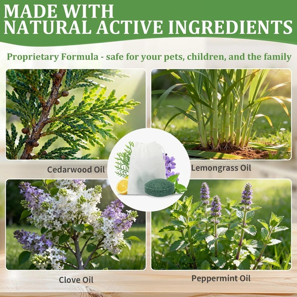 Natural Rodent Repellent Peppermint Sachets 24 Pack Mouse Mice Pest – US