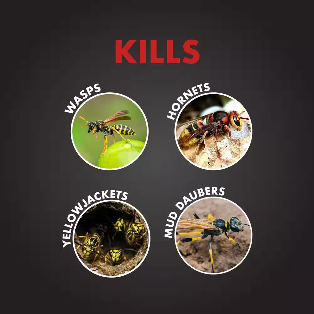 3 pack Spectricide Pro Wasp & Hornet Killer Aerosol Spray Outdoor Use Only 18 oz