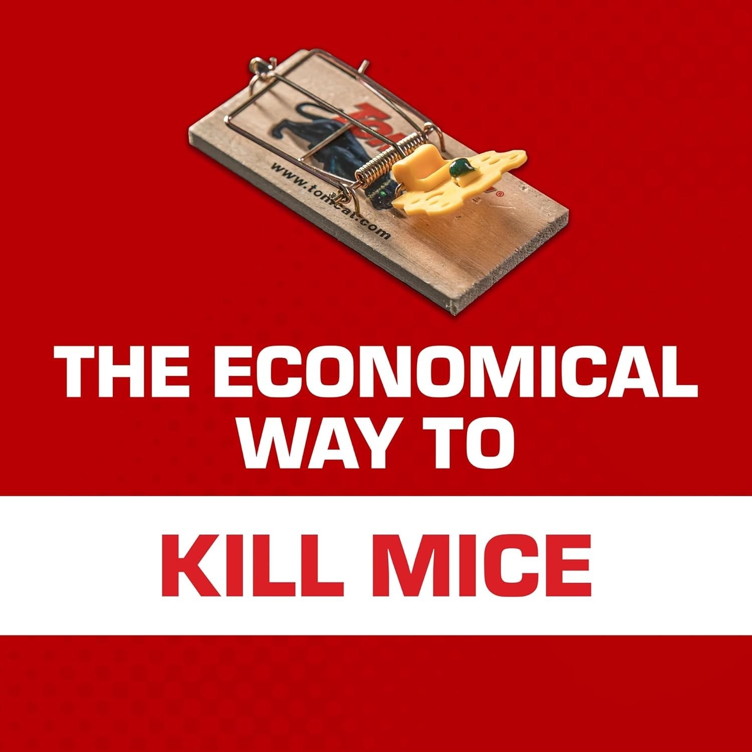Tomcat Mouse Traps (Wooden) Effective Way to Catch Mice in the Home 2 Traps