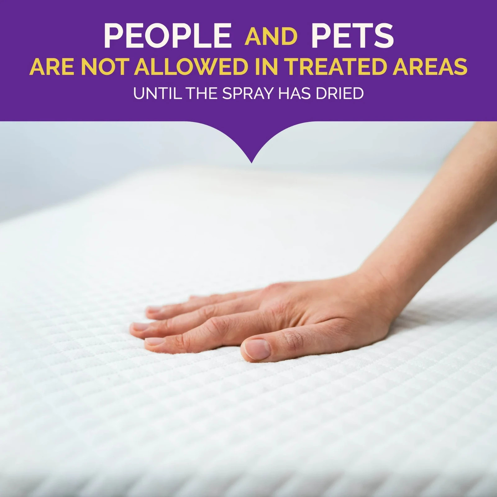 Hot Shot Bed Bug Killer Spray, Kills Bed Bugs and Bug Eggs Indoors, 1 Gallon