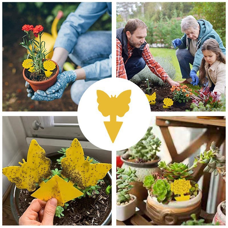 50X Yellow Sticky Fruit Fly Traps Fungus Gnat Killer Trap Use for Indoor Outdoor