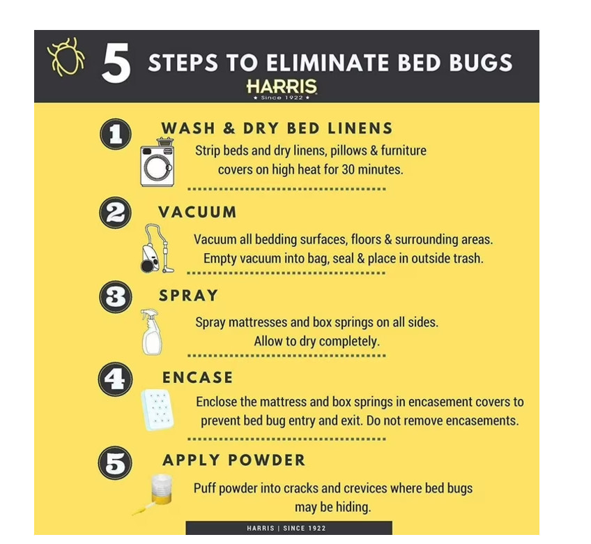Pest Control Bed Bug Killer Spray 1 Gal. Odorless Non-Staining Indoor Liquid