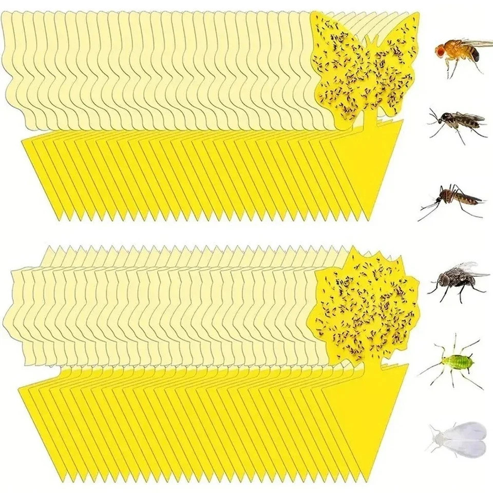 20 PCS Sticky Fruit Fly Traps, Fungus Gnat Killer Trap use Indoor Outdoor