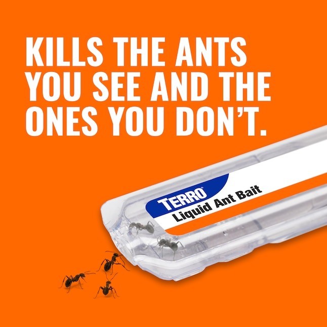 TERRO Liquid Ant Killer Bait Outdoor Indoor Tray Traps Ready To Use T300 6PK NEW