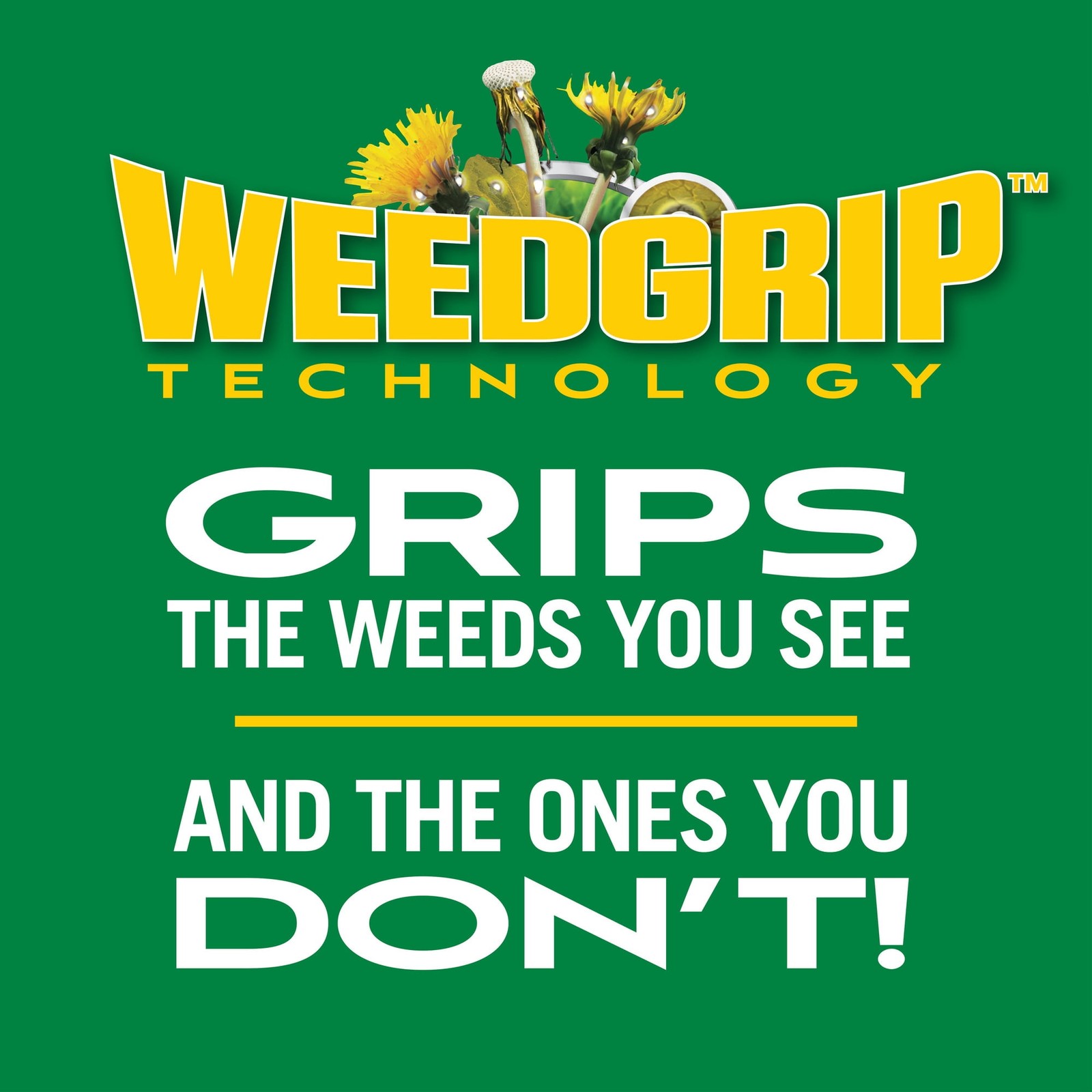 Scotts Turf Builder Weed & Feed – 11.32lb, Covers 4,000 sq ft