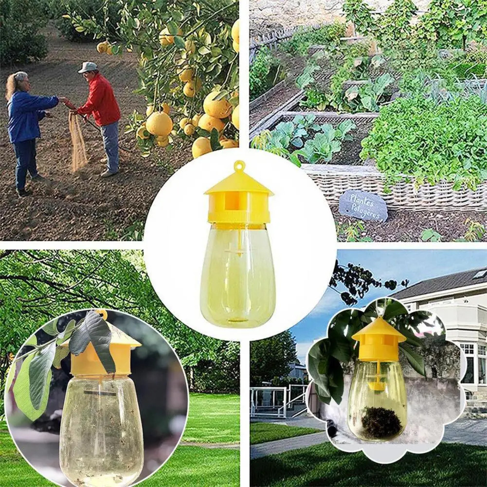 2 Pack Fruit Fly Trap & Cucumber Fly Insect Traps Reusable Pest Control