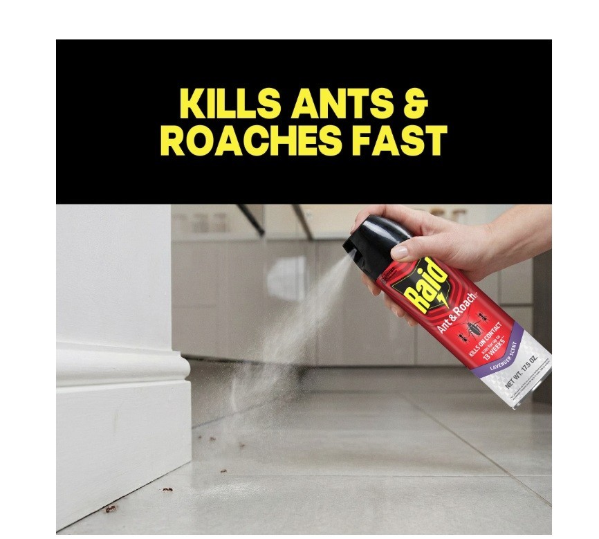 Raid Ant & Roach Killer Spray Lavender Scent for Listed Bugs 17.5 oz, 3 PACK