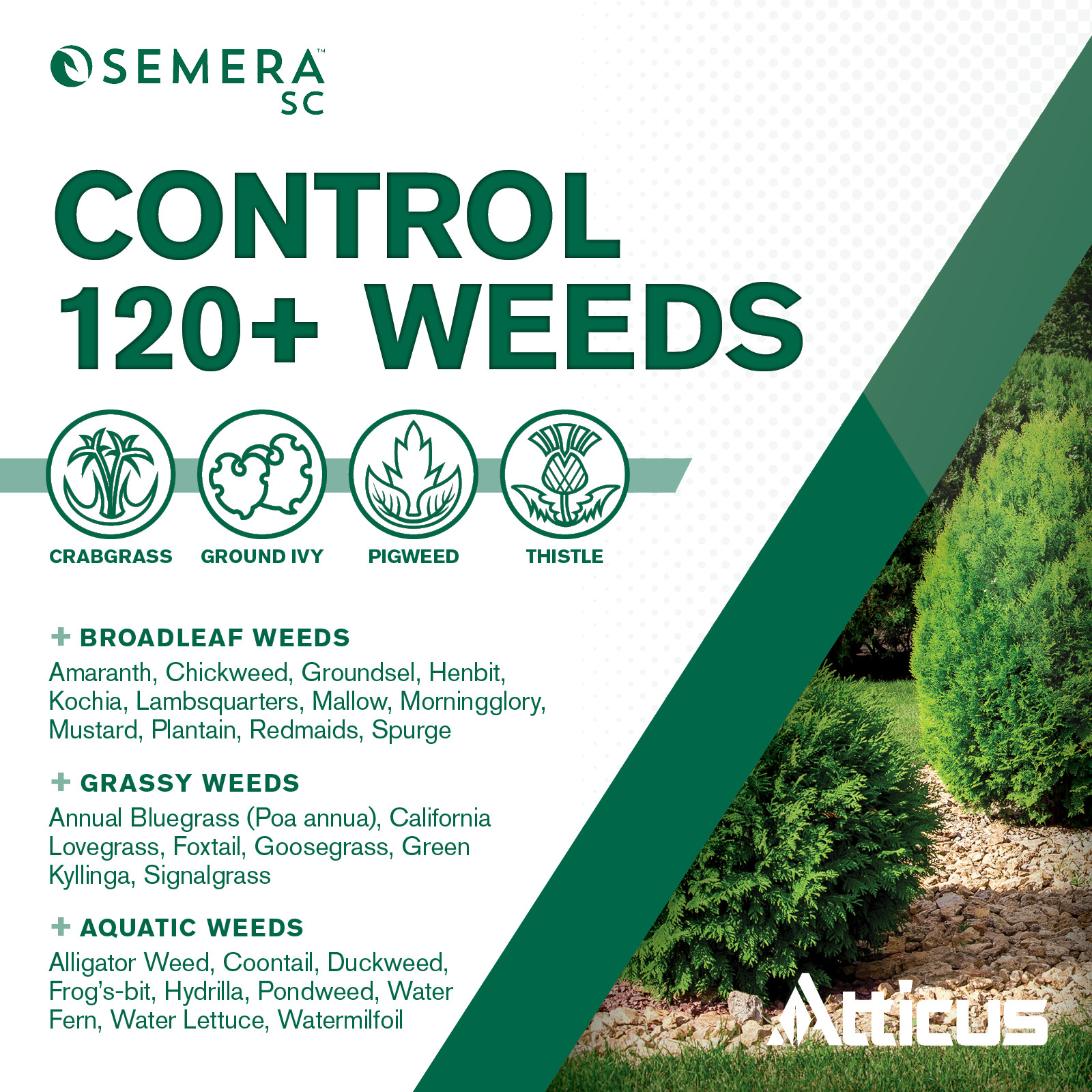 Semera SC Herbicide (8oz) by Atticus – Flumioxazin 41.4%