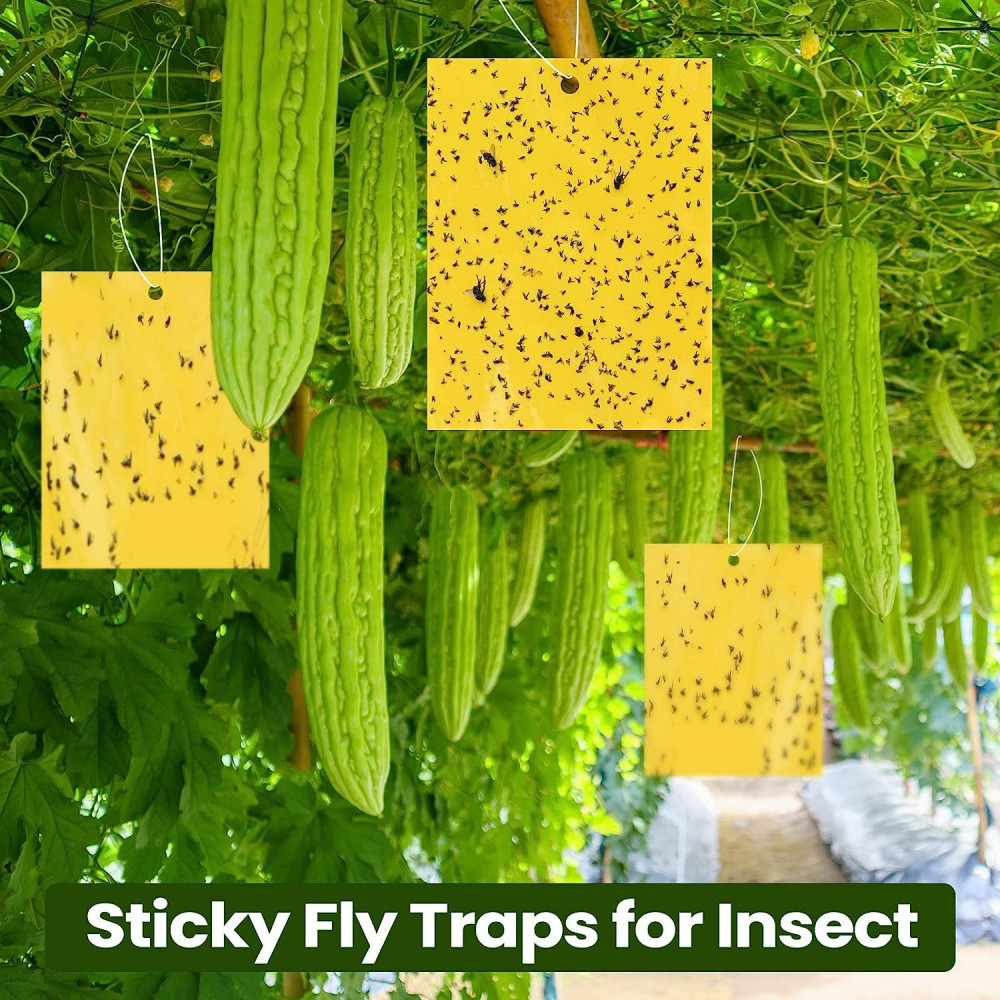 Sticky Fly Trap Paper Yellow Traps Fruit Flies Insect Glue Catcher Pest Control