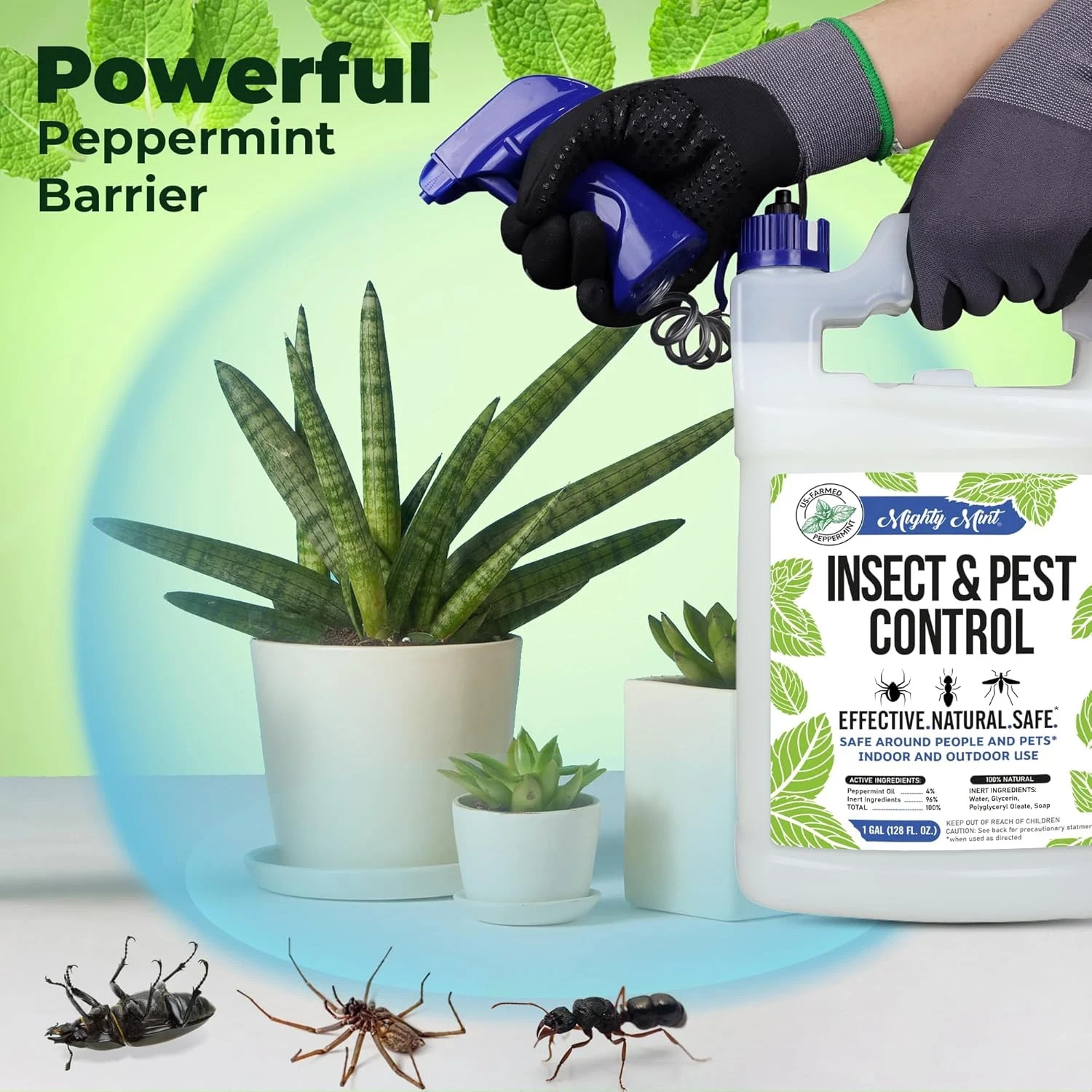 Gallon (128 Oz) Insect and Pest Repellent Peppermint Oil – Natural Spray for Spi