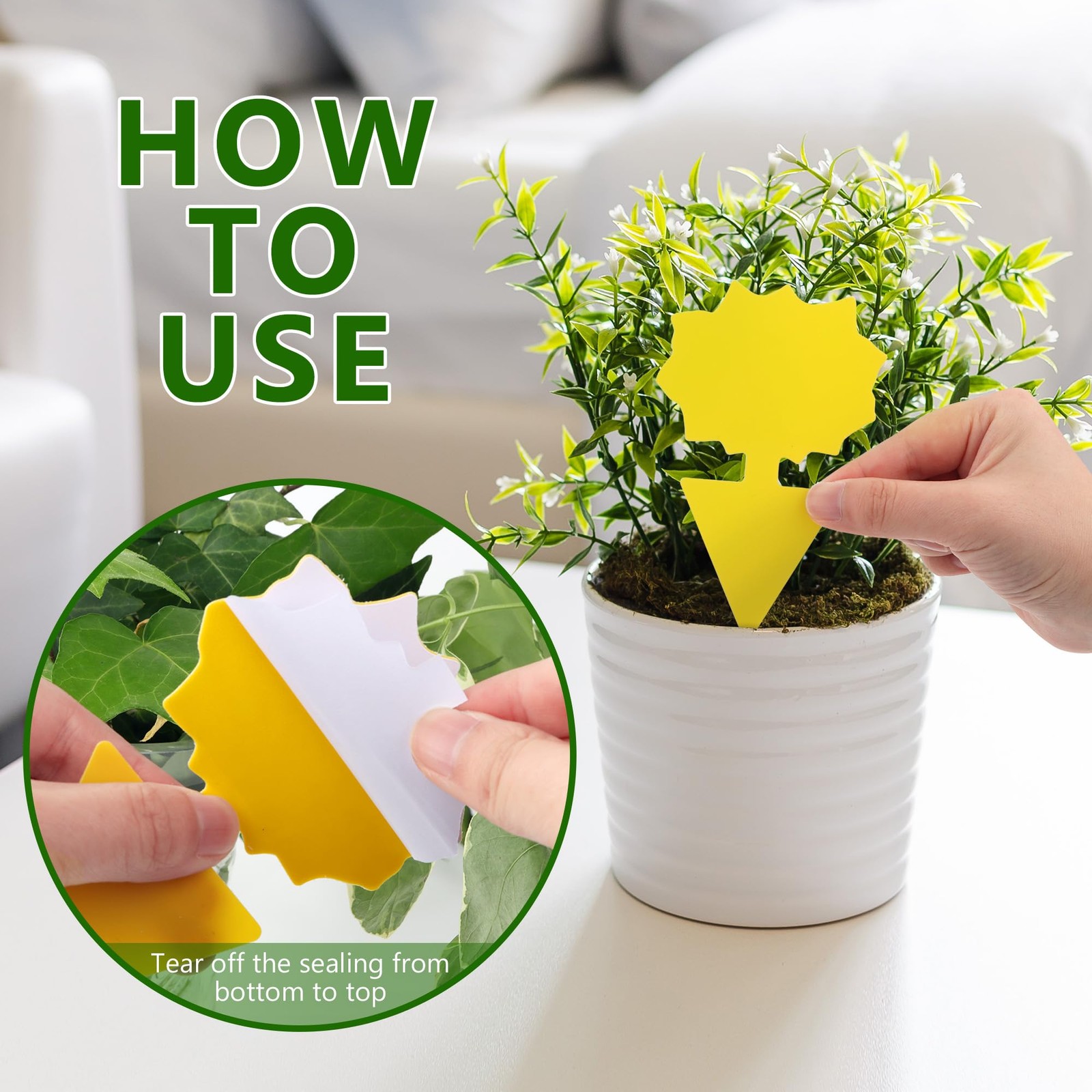 Fruit Fly Traps Indoor Fungus Gnat Trap 48PCS for Plants Yellow Houseplants