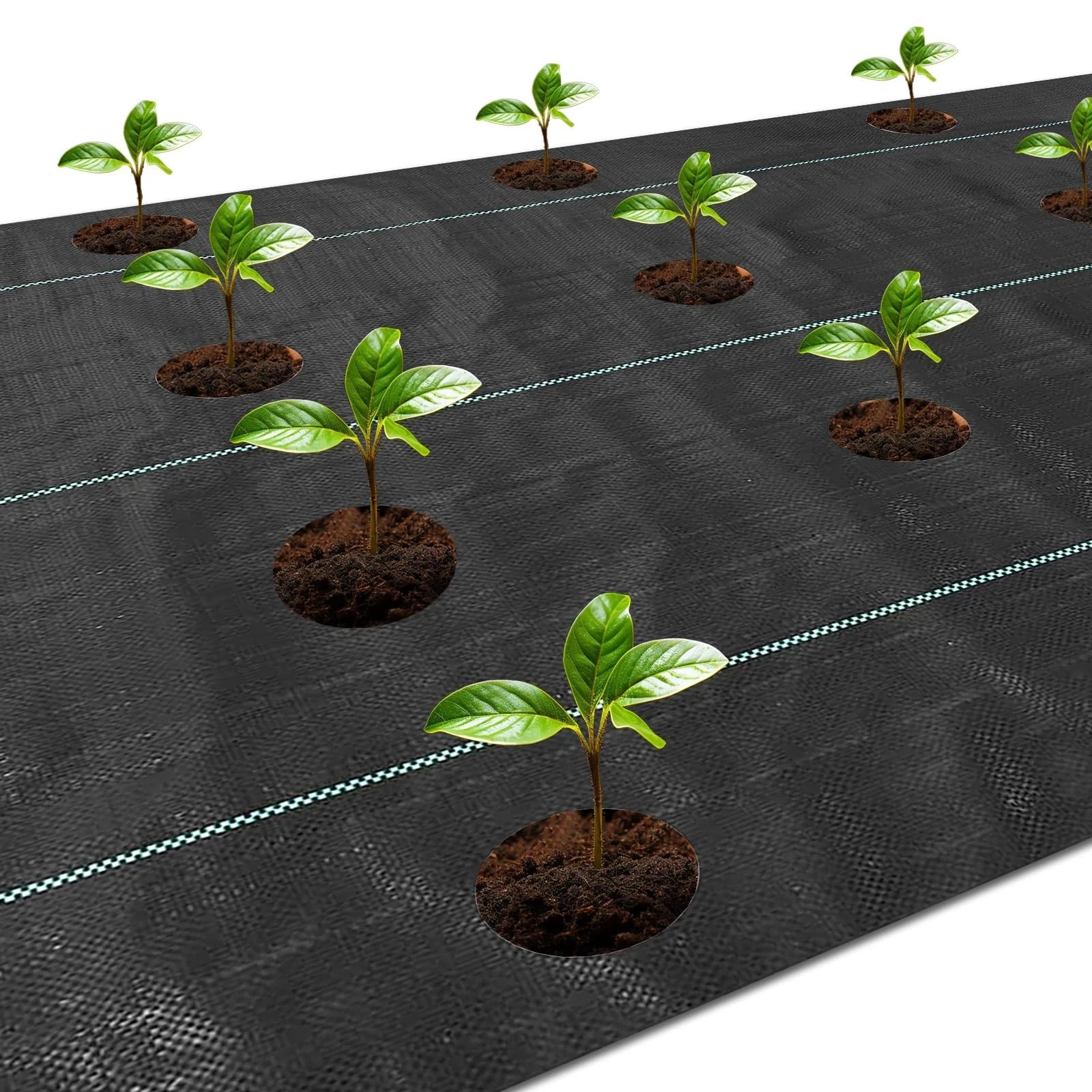 Etnorsu Weed Barrier Landscape Fabric with 3” Planting Holes,Garden 1Pcs