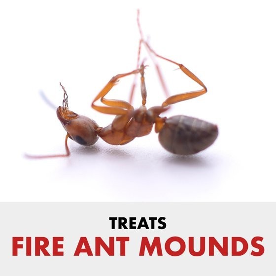 2 pack Spectracide Fire Ant Shield Mound Destroyer Granules 3.5 lb Ant Killer