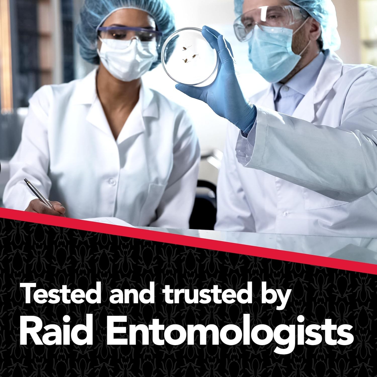 Raid Max Liquid Ant Bait Kills Ants Where They Breed Indoor and Outdoor 8 Baits