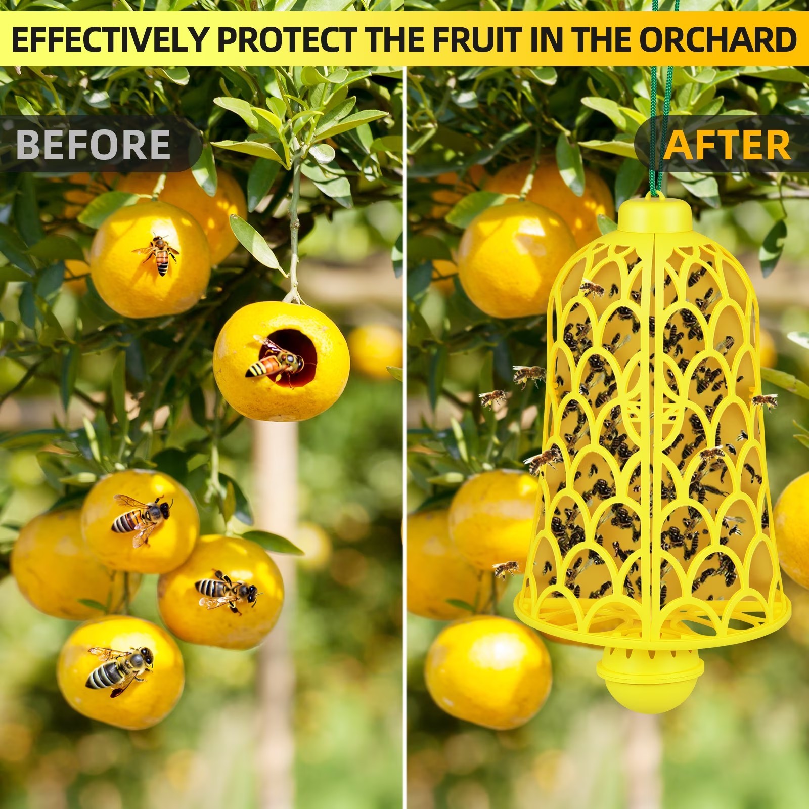 2 Pack Wasp Trap Bee Catcher Hanging Carpenter Bee Traps Non-Toxic Reusable