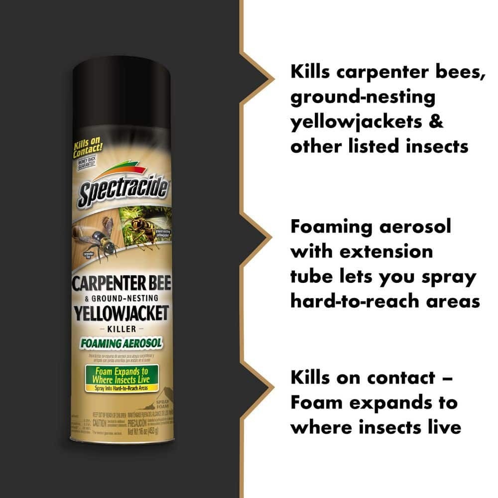Carpenter Bee and Yellow Jacket Insect Killer 16oz Foaming Aerosol (2 Pack)