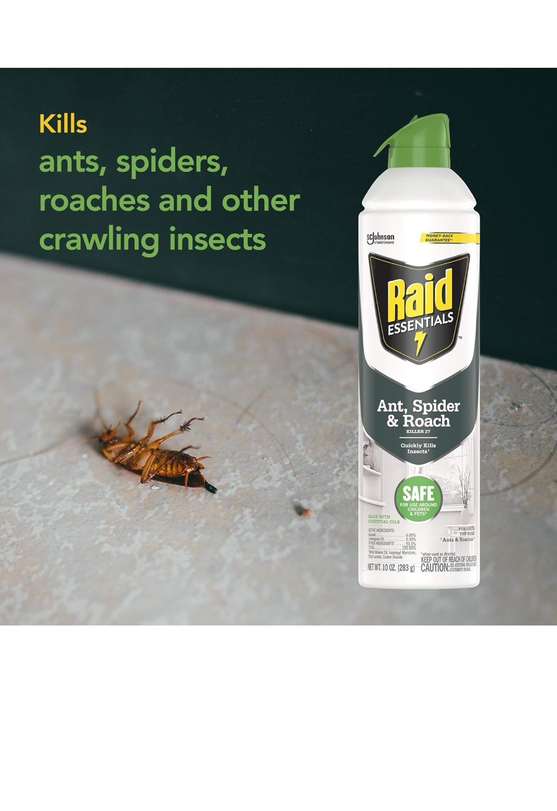 Raid Essentials Ant Spider and Roach Killer Aerosol Spray ( 6pc )