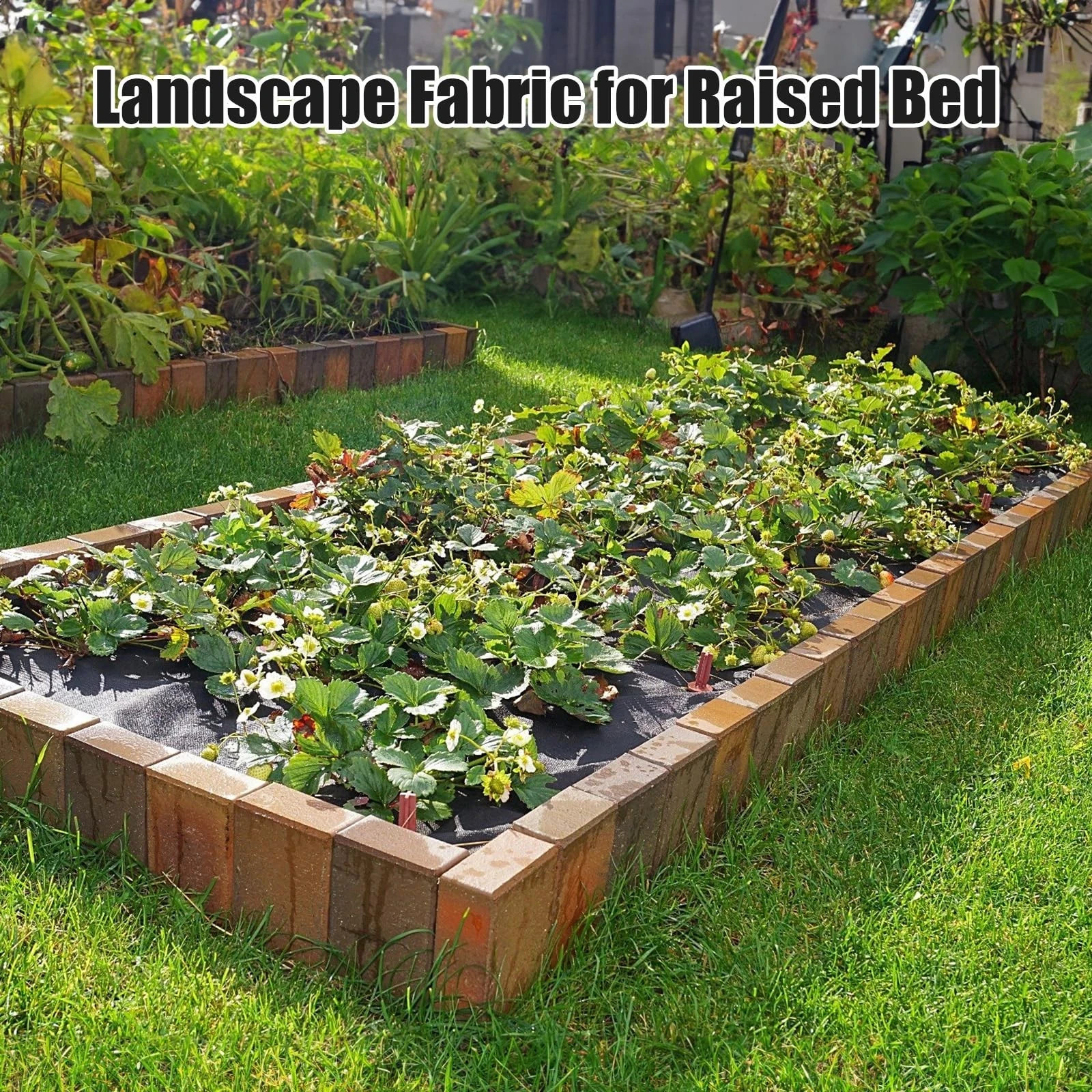 Etnorsu Weed Barrier Landscape Fabric with 3” Planting Holes,Garden 1Pcs