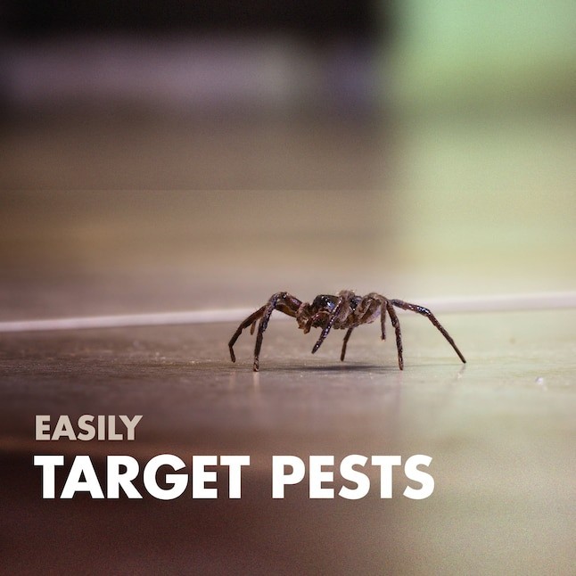 Spectracide Bug Stop Home Barrier 1.0 -Gallon Ready to use Insect killer