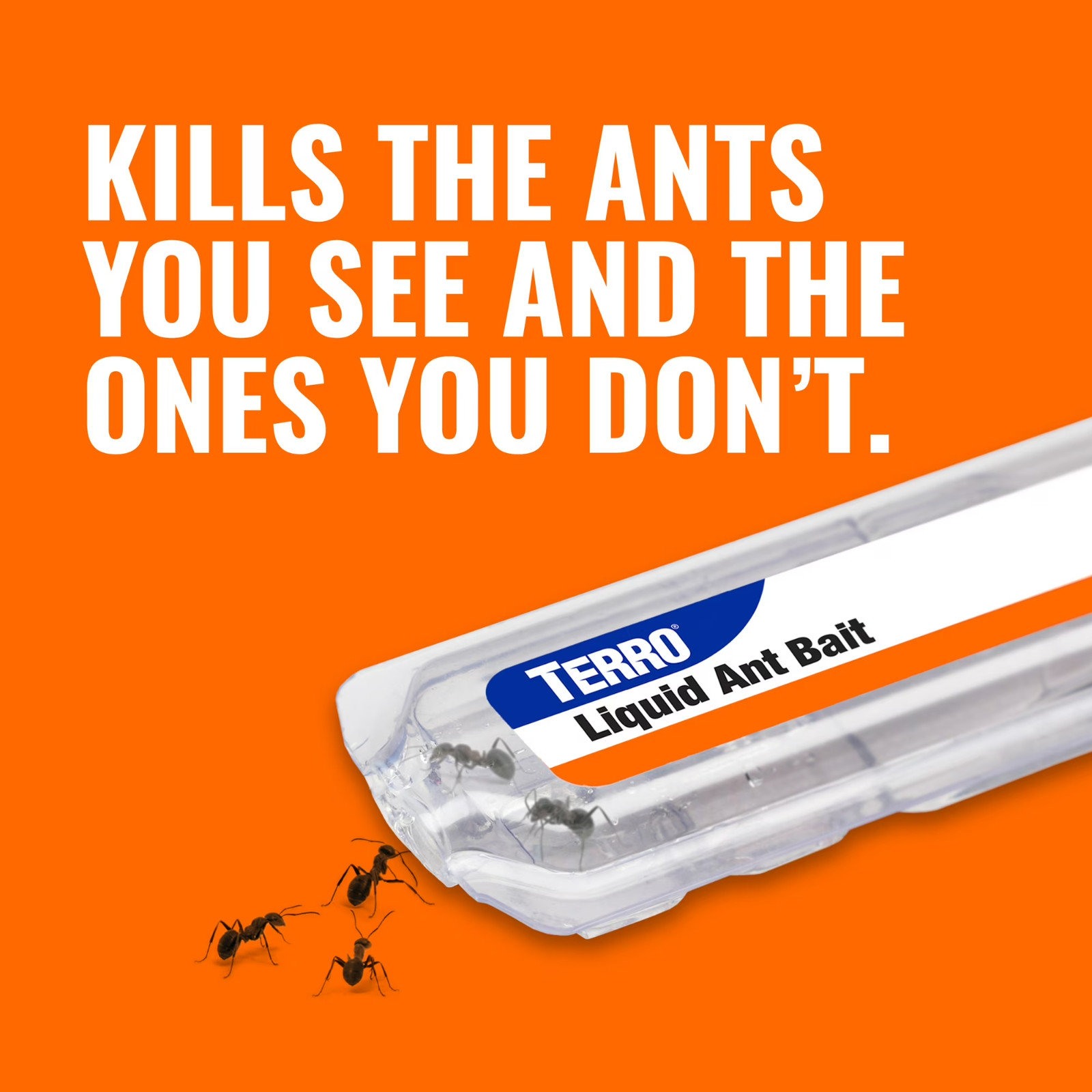 Terro T300 Ant Killer II, Liquid Ant Baits, Package of 6 Bait Stations NEW!