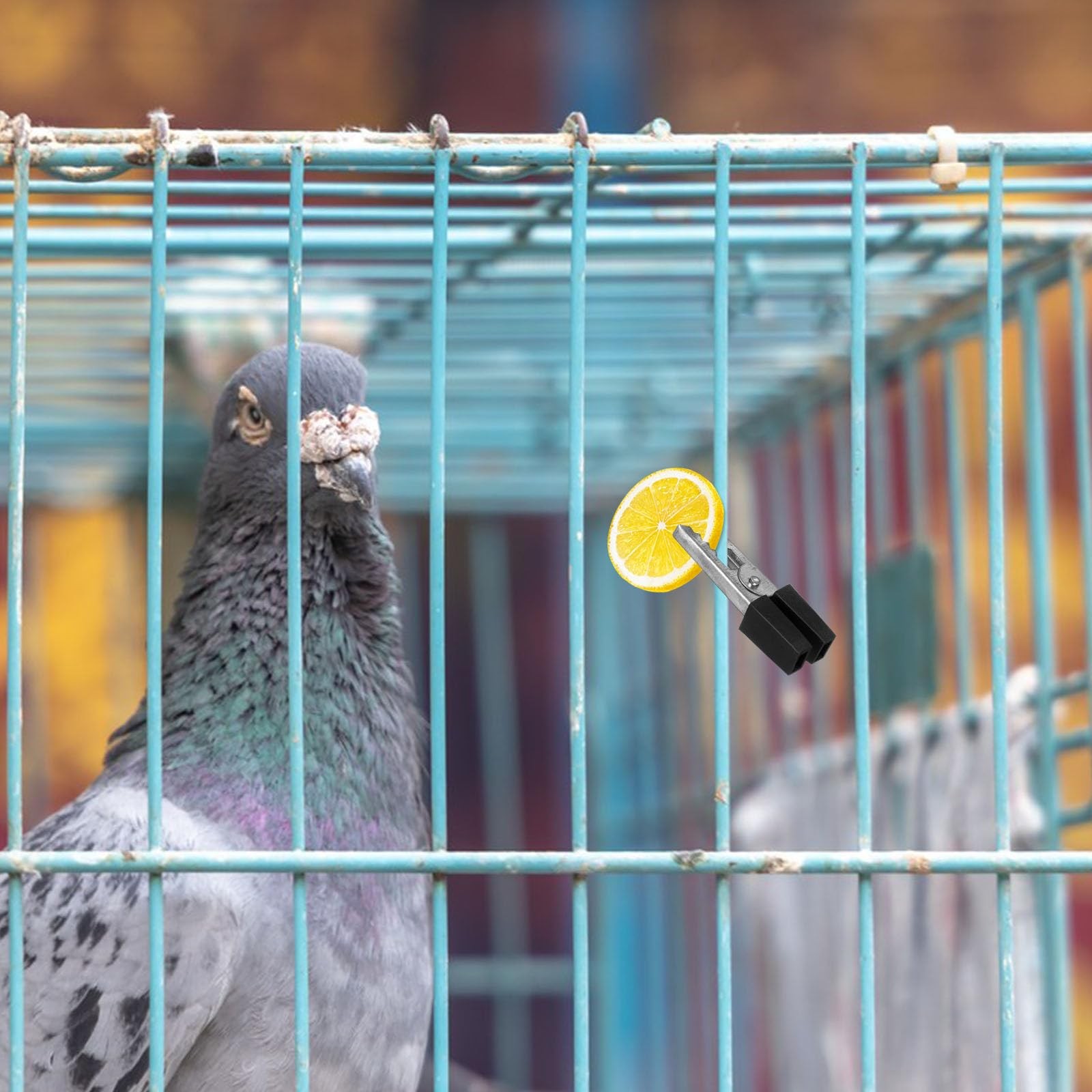 20Pcs Bird Cage Clips Safety Clip Door Lock Parrot Cage Safety Clip Pet Cages…